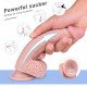 PROTESE REALISTICA DICK 6894 Prótese realística em forma de pênis, confeccionado em PVC possui glande definida, textura de veias, escroto e ventosa para penetrações em ângulo reto. PROTESE REALISTICA DICK 6894