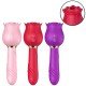 VIBRADOR COM PULSAÇÃO ROSA CARMIM 8881 Vibrador de Ponto G e Clitóris / Rosa com Pulsação - Carmim - SIVibrador de ponto G e clitóris com formato de Rosa - 12 modos de pulsação. VIBRADOR COM PULSAÇÃO ROSA CARMIM 8881