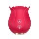 ROSA ESTIMULADORA DE CLITORIS COM PULSAÇÃO Vibrador de clitóris em formato de rosa - Possui 12 Modos de pulsação, o produto é macio ao toque ergonômico,o que facilita o manuseio e a estimulação, trazendo uma sensação prazerosa do uso. ROSA ESTIMULADORA DE CLITORIS COM PULSAÇÃO
