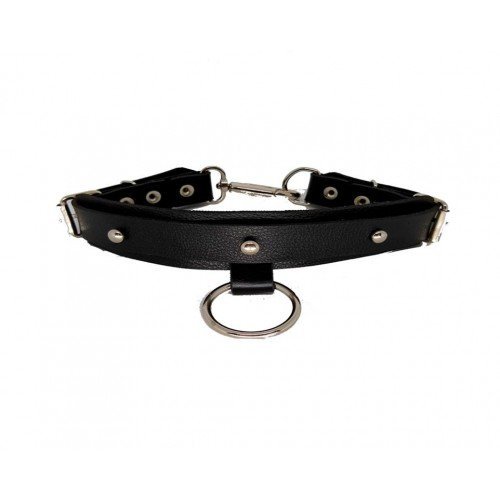 GARGANTILHA COM ARGOLA PRATA 