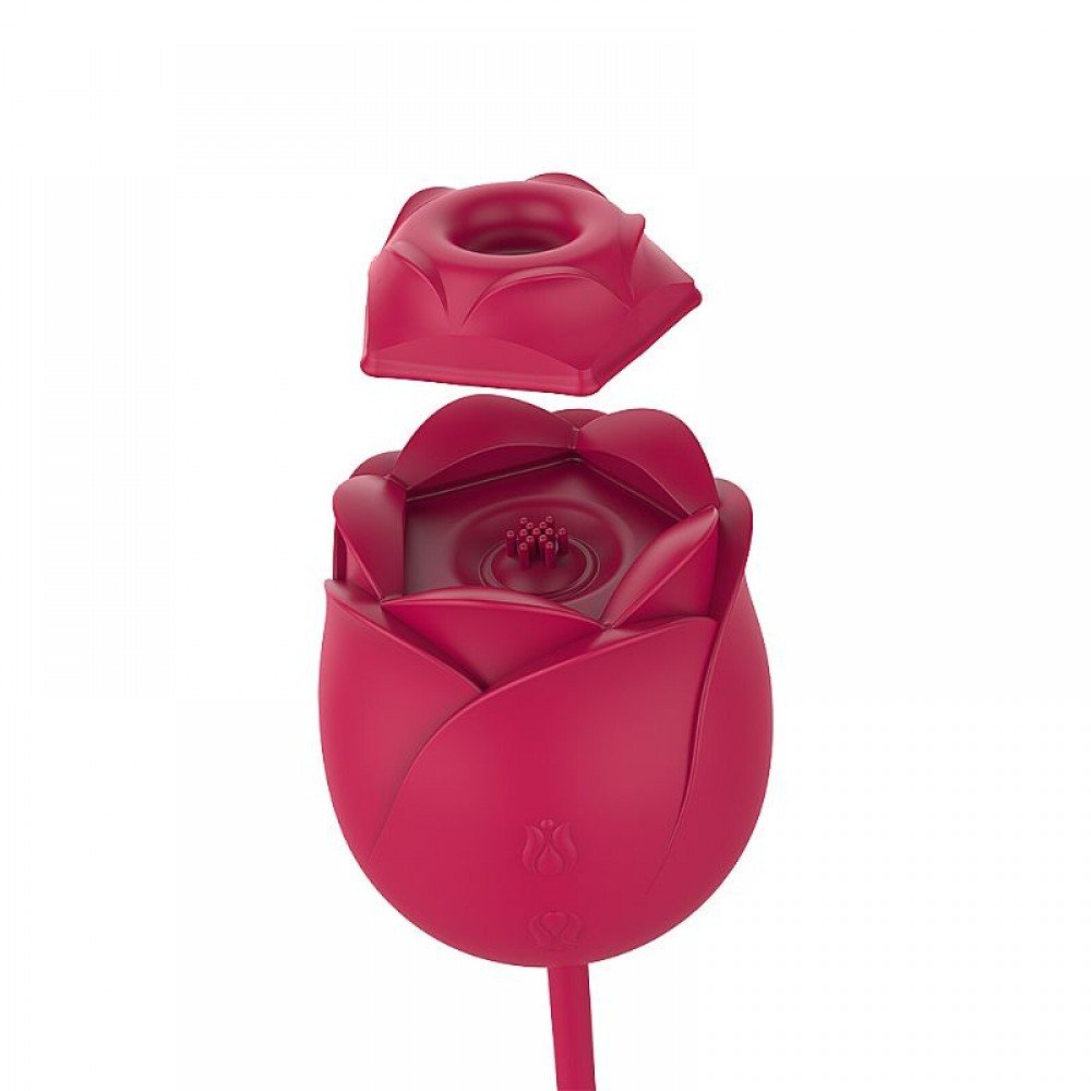 ROSA COM PULSAÇÃO E PONTO G IMMORTAL Immortal flower 5. ROSA COM PULSAÇÃO E PONTO G IMMORTAL