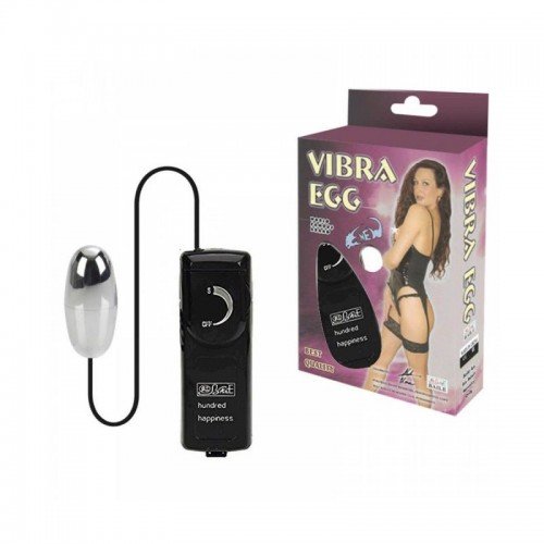 CAPSULA CROMADA VIBRA EGG