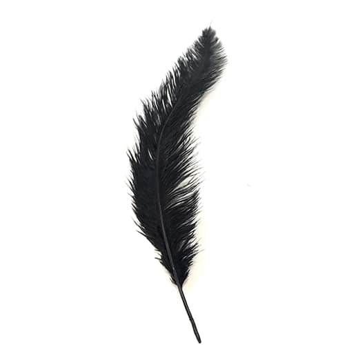 PLUMA SENSORIAL DE PAVÃO  